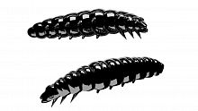 Libra Larva 35mm 040