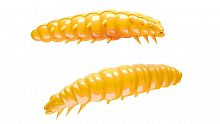 Libra Larva 35mm 008