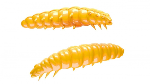 Libra Larva 35mm 008