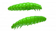 Libra Larva 35mm 026