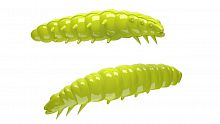 Libra Larva 35mm 006