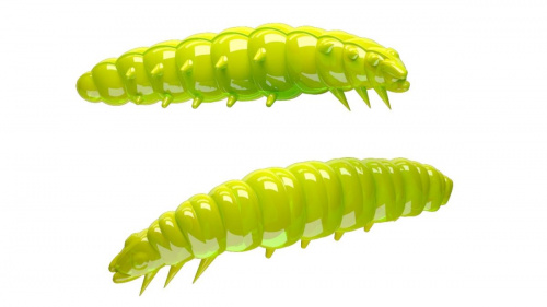 Libra Larva 35mm 027