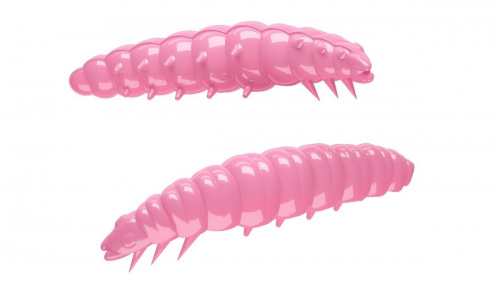Libra Larva 35mm 017