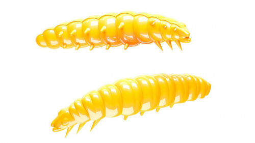 Libra Larva 35mm 007